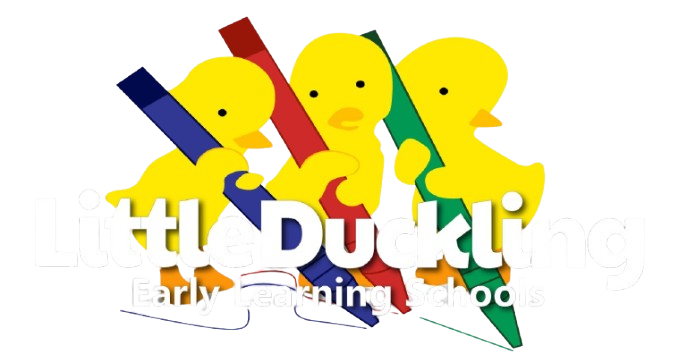 WhatsApp_Image_2026-02-16_at_6.44.36_PM-removebg-preview